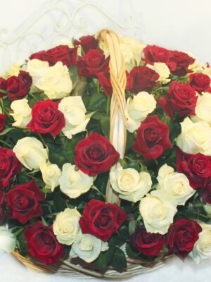 151 красно-белая роза в корзине